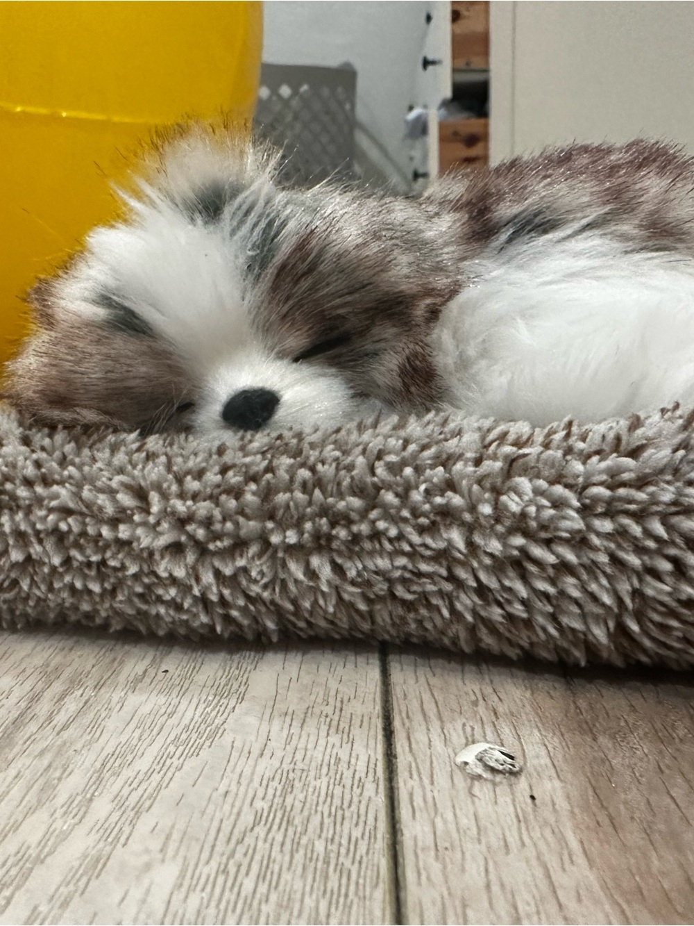 Plush Sleeping Puppy Decorative Throw Pillow - Brown & White